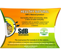 SdB, Semilla de Brasil, Brazil Nuts, EXTRA LARGE Yellow Box - 90 days